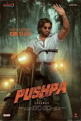 普什帕：崛起-第1部分 Pushpa - The Rise: Part 1