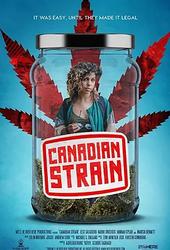 加拿大麻烦 Canadian Strain