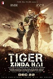 老虎是活的 Tiger Zinda Hai