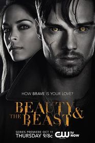 侠胆雄狮 第一季 Beauty and the Beast Season 1