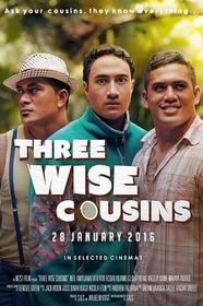 三个聪明表兄弟 Three Wise Cousins