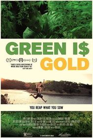 少年毒枭 Green is Gold