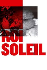 太阳王 Roi Soleil