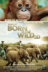 天生狂野 Born to Be Wild