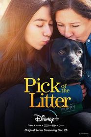 崽之抉择 第一季 Pick of the Litter Season 1