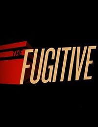 亡命天涯 The Fugitive