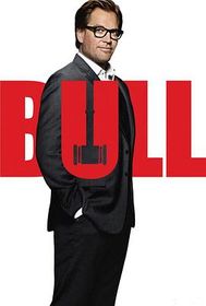 庭审专家 第二季 Bull Season 2