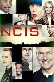 海军罪案调查处 第十五季 NCIS: Naval Criminal Investigative Service Season 15