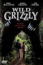 狂野的灰熊 Wild Grizzly