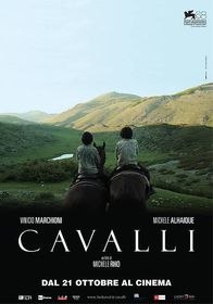 马 Cavalli